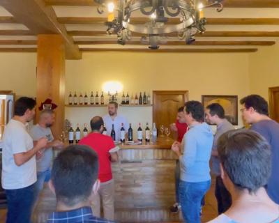 5 wines to your taste at the Bodegas Alconde winery